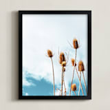 "Sun Dried Thistle" - Art Print in Quiet Sea Blue by Elky Ink - Framed