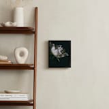 "Single Vintage Peony" - Art Print in soft white by Alexis Arnold - In a Room