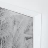 "Gossamer" - Art Print in Mist by Lindsay Ferraris Photography - Frame Close-up