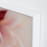 "Camelia bloom" - Art Print in Blush by Lindsay Ferraris Photography - Frame Close-up