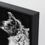 "Kai" - Art Print in Black White by Amy Carroll - Frame Close-up
