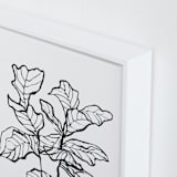 "Fiddle-leaf fig tree 1" - Art Print in pearl by Cass Loh - Frame Close-up
