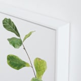"Clipping" - Art Print in summer green by Monica Loos - Frame Close-up