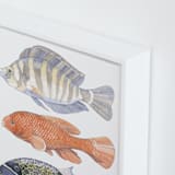 "Three Fish" - Art Print in tangerine by Natalie Groves - Frame Close-up