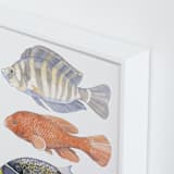 "Three Fish" - Art Print in tangerine by Natalie Groves - Frame Close-up
