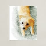 "Custom Pet Portrait" - Custom Print in White by Minted - Unframed