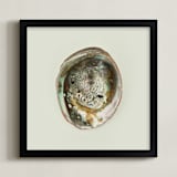 "Abalone Shell" - Art Print in Natural by Field and Sky - Framed