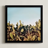 "Cactus in a sunset" - Art Print in Sunset by Susanna Nousiainen - Framed