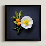 "Bold and Botanical No. 1" - Art Print in Navy Chalkboard by Maddy Hague - Framed