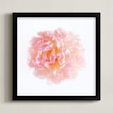 "Carolina" - Art Print in Peony Pink by Kristin Muntean - Framed