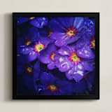 "Spring Noir 2" - Art Print in Royal by Sarah Johnson - Framed