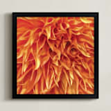 "Dahlia Shag Look" - Art Print in Orange Shag by A MAZ Design - Framed