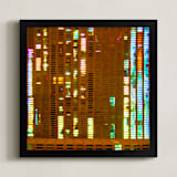 "Windows Data" - Art Print in Ruddy Brown by Jeff Preuss - Framed
