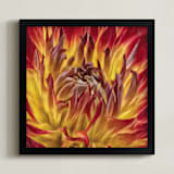 "Flaming Dahlia" - Art Print in Flaming Orange by A MAZ Design - Framed