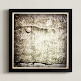 "Spiral Shell" - Art Print in sepia by Margaret Hine - Framed