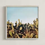 "Cactus in a sunset" - Art Print in Sunset by Susanna Nousiainen - Framed
