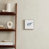 "Blushing Bird 1" - Art Print in light blue by Renee Anne Bouffard-McManus - In a Room