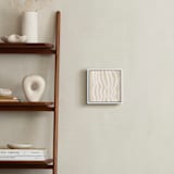 "Ancient" - Art Print in Shell by Pati Cascino - In a Room