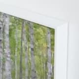 "Summer Birches" - Art Print in forest green by Amy Hall - Frame Close-up