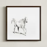 "Horse Study 1" - Art Print in Original Charcoal by Ramnik Velji - Framed