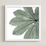"Leaf In Green" - Art Print in Mint Green by Jonathan Brooks - Framed