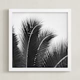 "Afternoon Calm" - Art Print in Black and White by Jessica C Nugent - Framed