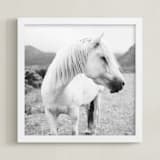 "Field Horse" - Art Print in Black and White by Natalie Uprichard - Framed