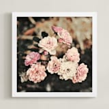 "Fading Pink Roses" - Art Print in Dusty Pink by Catherine Culvenor - Framed