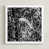 "Wilting Willow" - Art Print in Black by Jeff Preuss - Framed
