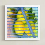 "Lemon Zest" - Art Print in lovely blue by Amelia Gluba - Framed
