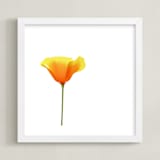 "California Poppy" - Art Print in Sparkling White by Corinne Aelbers - Framed