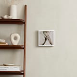 "Decline" - Art Print in Latte by Anne Ciotola - In a Room