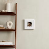 "Bow Snap" - Framed Photo in Rose by Jennifer Lew - In a Room