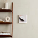 "Embodied 1" - Art Print in Apricot by Melanie Severin - In a Room