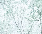 "Batik Forest" - Wall Mural in Leaf by Karen Kaul - Full Size