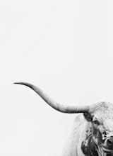 "Brandir" - Wall Mural in Grey by Amy Carroll - Full Size