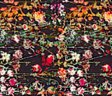 "Painted midnight garden" - Wall Mural in Carbon by Teo - Full Size