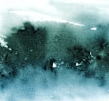 "misty forest" - Wall Mural in Forest by Lindsay Megahed - Full Size