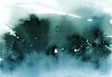 "misty forest" - Wall Mural in Forest by Lindsay Megahed - Full Size