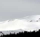 "Fresh Tracks" - Wall Mural in Snow by Christina Flowers - Full Size