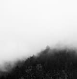 "Mystify" - Wall Mural in White by Jessica C Nugent - Full Size
