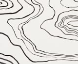 "Walkabout" - Wall Mural in White by Kelly Johnston - Full Size