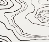 "Walkabout" - Wall Mural in White by Kelly Johnston - Full Size