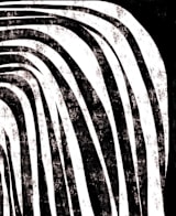 "Waterfall" - Wall Mural in charcoal by Leanne Friedberg - Full Size