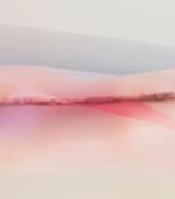 "Sailors Delight" - Wall Mural in Rose by Karen Kardatzke - Full Size