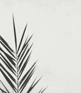 "One" - Wall Mural in Smokey by Stacy Cooke - Full Size