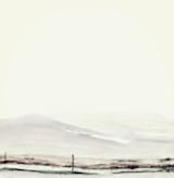 "Fitz" - Wall Mural in Creamy white by Mande Calhoun - Full Size