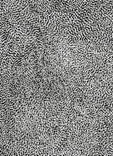 "10,000 Grains" - Wall Mural in Black and White by Bryn Wears-Fitipaldi - Full Size