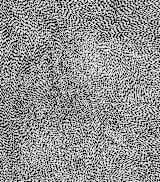"10,000 Grains" - Wall Mural in Black and White by Bryn Wears-Fitipaldi - Full Size