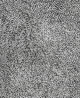 "10,000 Grains" - Wall Mural in Black and White by Bryn Wears-Fitipaldi - Full Size